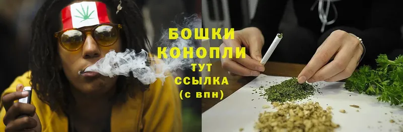 где найти наркотики  Верея  Бошки Шишки THC 21% 